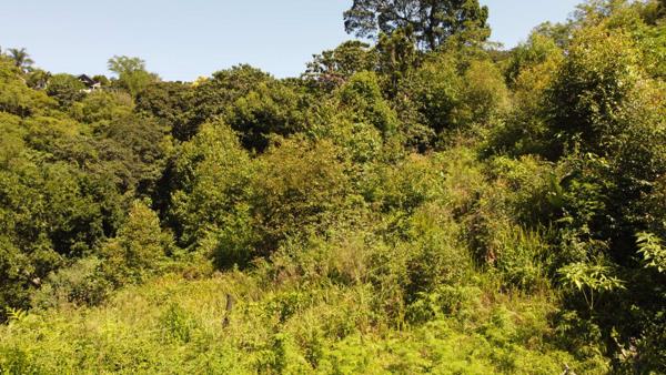 6 408 m² Land