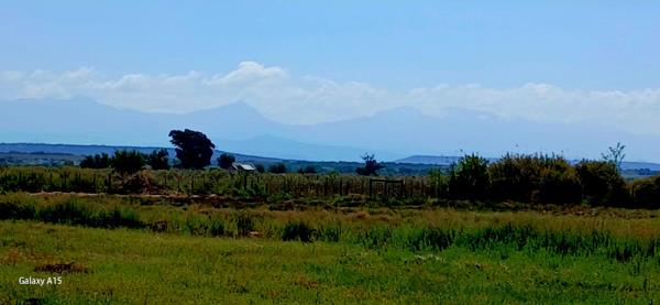 3.7 ha Agricultural Holding