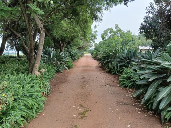 8.5 ha Agricultural Holding