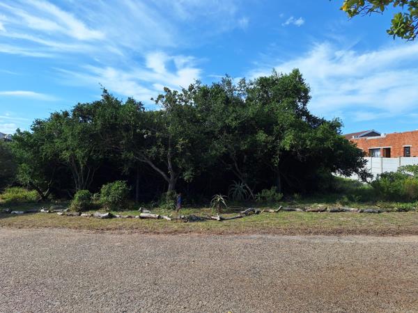 565 m² Land