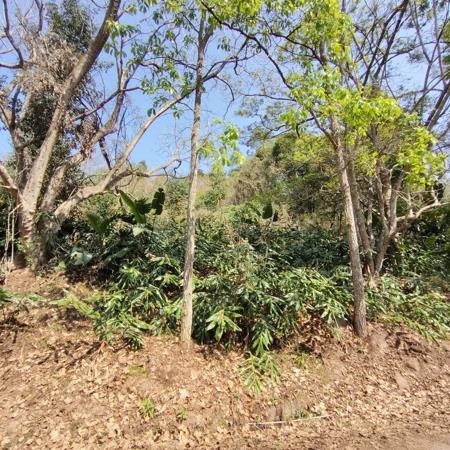 1 873 m² Land
