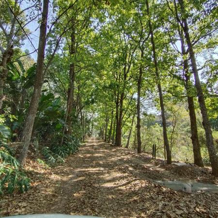 1 873 m² Land