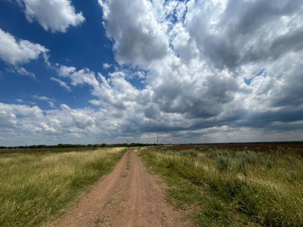 294 ha Farm