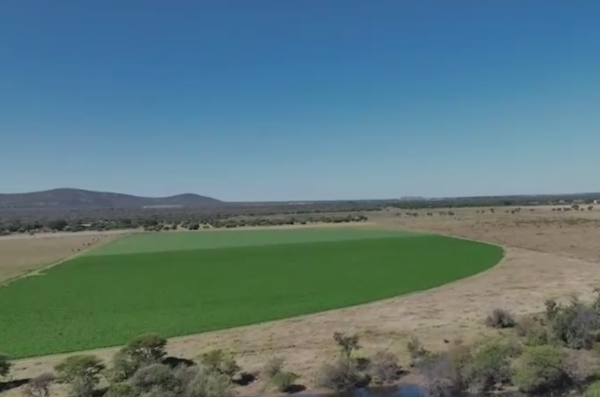 60 ha Farm