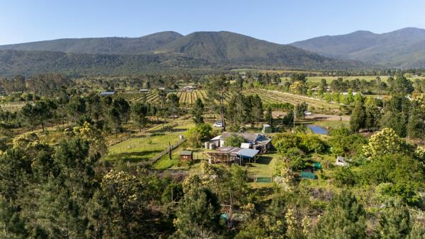 8.6 ha Smallholding