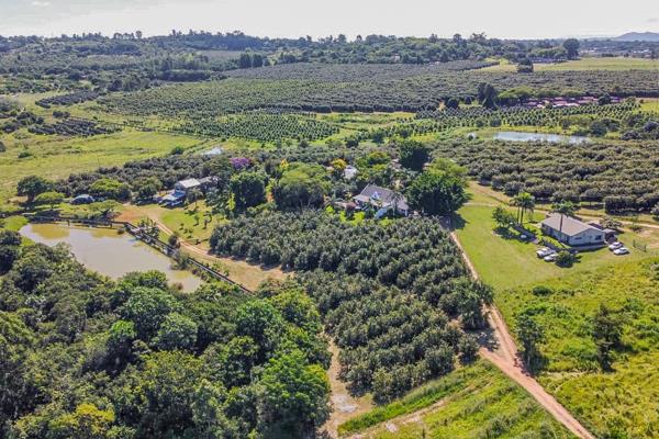 9.3 ha Agricultural Holding