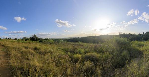 584 m² Land