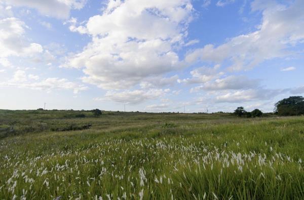 468 m² Land
