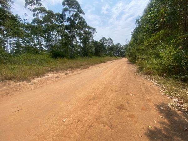 11.9 ha Smallholding