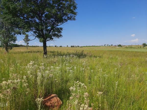 1 ha Land