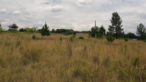 8 565 m² Land