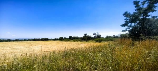 43.6 ha Land