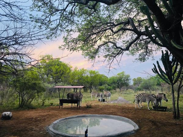 60 ha Farm with House