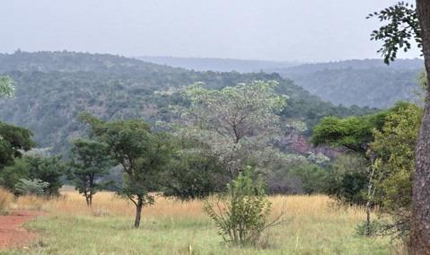 1 ha Land