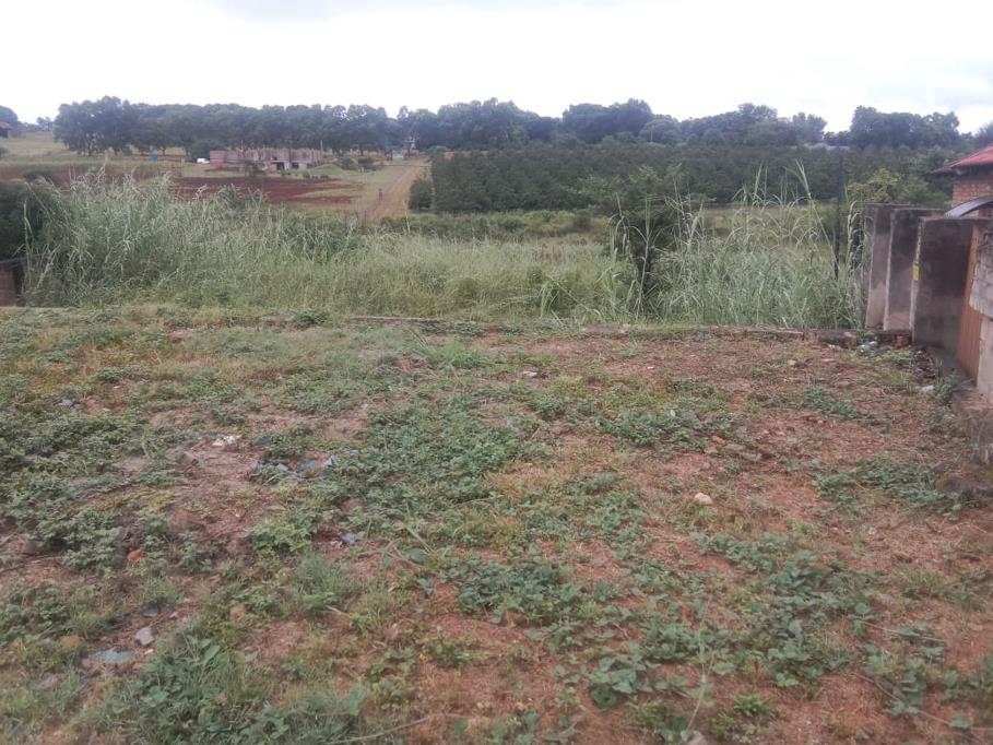 545 m² Land