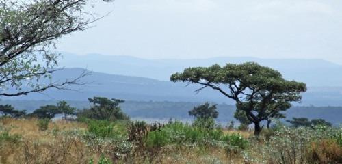 608 m² Land