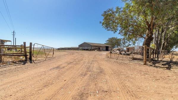 10.9 ha Farm