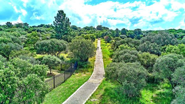 4 000 m² Land