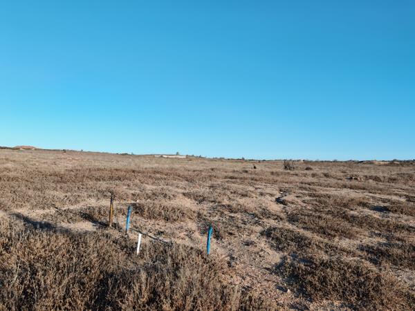 665 m² Land
