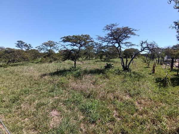 2 024 m² Land