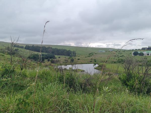 1.2 ha Land