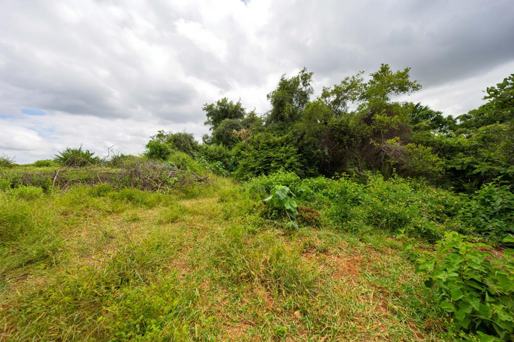 2 400 m² Land