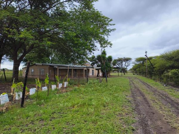 21.4 ha Smallholding