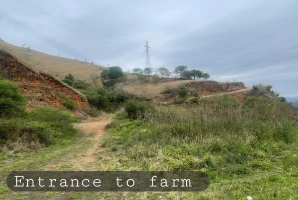 24 ha Land