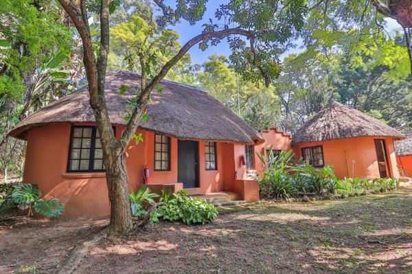 46.5 ha Smallholding