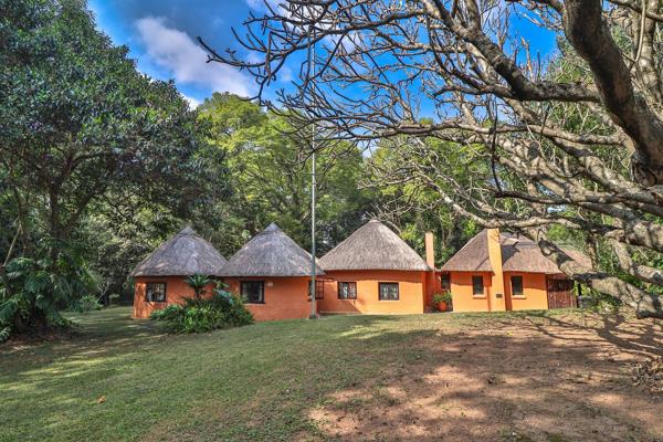 46.5 ha Smallholding