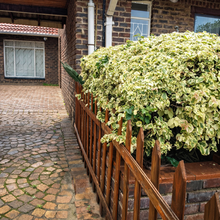 1 Bedroom Garden Cottage