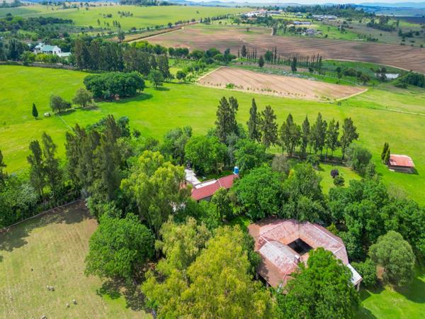19 ha Farm