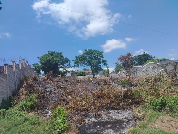 1 128 m² Land