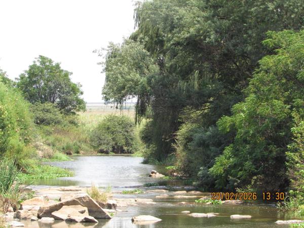 200 ha Farm