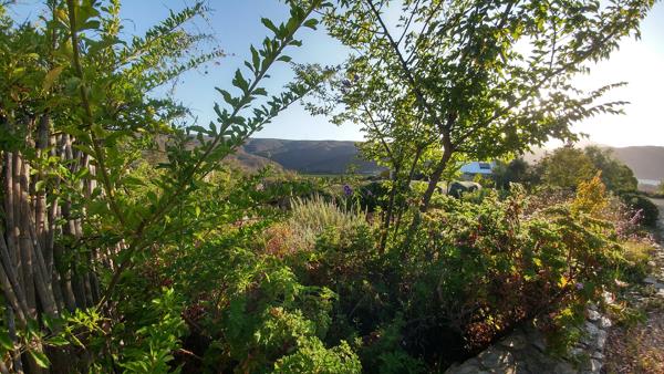 1 149 m² Land