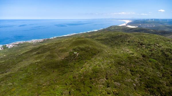 25 ha Land