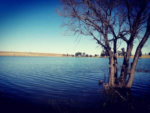 220 ha Commercial Farm