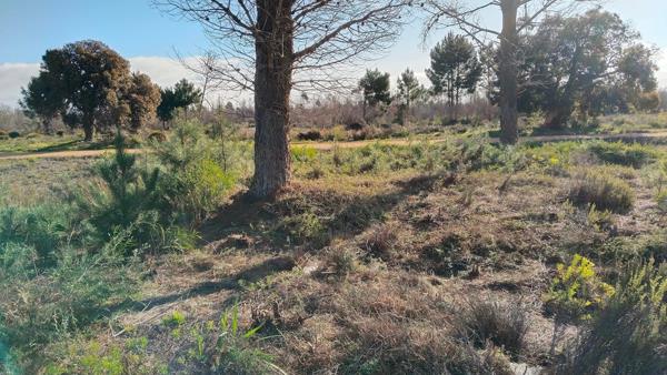 1 289 m² Land