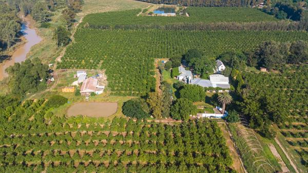 9 ha Commercial Farm