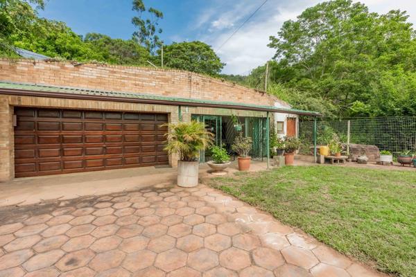 1.5 ha Smallholding