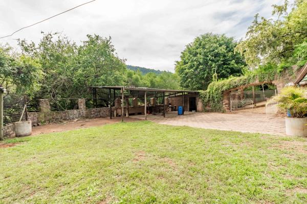 1.5 ha Smallholding