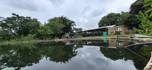 37.9 ha Farm