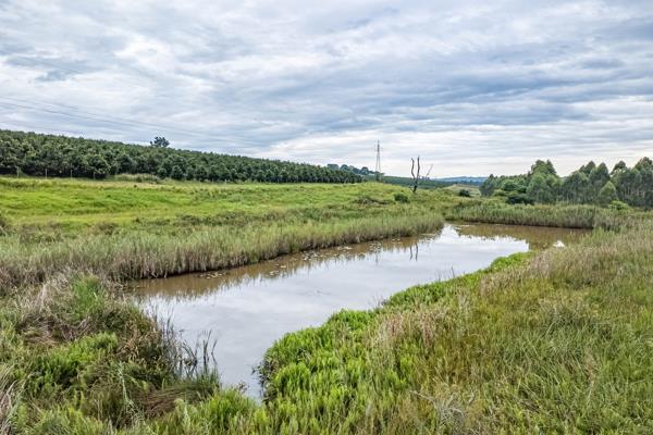9.5 ha Farm with House