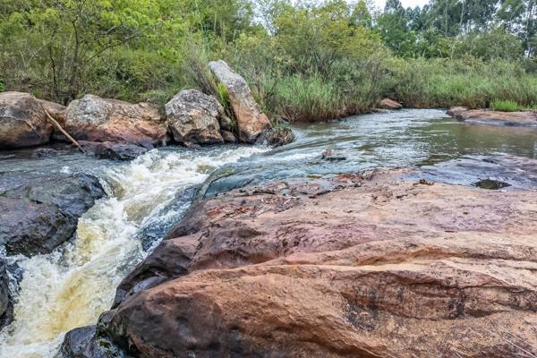 9.5 ha Farm with House