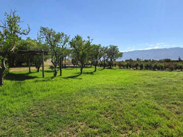 15 ha Farm with House