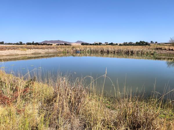 15 ha Farm with House