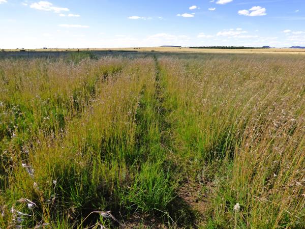 171 ha Agricultural Holding