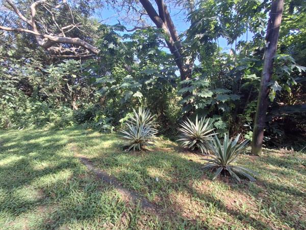 1 630 m² Land