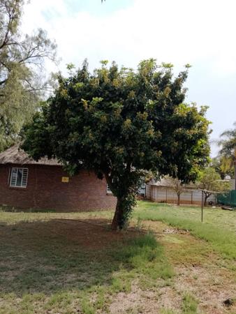 157 ha Farm