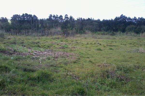 8 241 m² Land